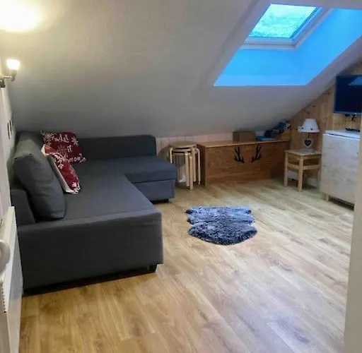 Apartamento T2 Pour 4 Pers Style Pied Des Pistes *