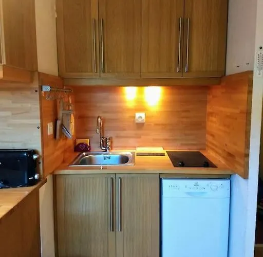 T2 Pour 4 Pers Style Pied Des Pistes Apartamento *